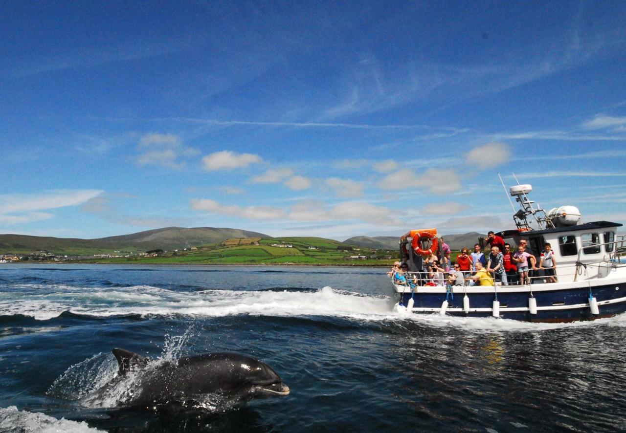 Dingle Harbour Cottages 3 Bed Sleeps 7 By Trident Holiday Homes Esterno foto