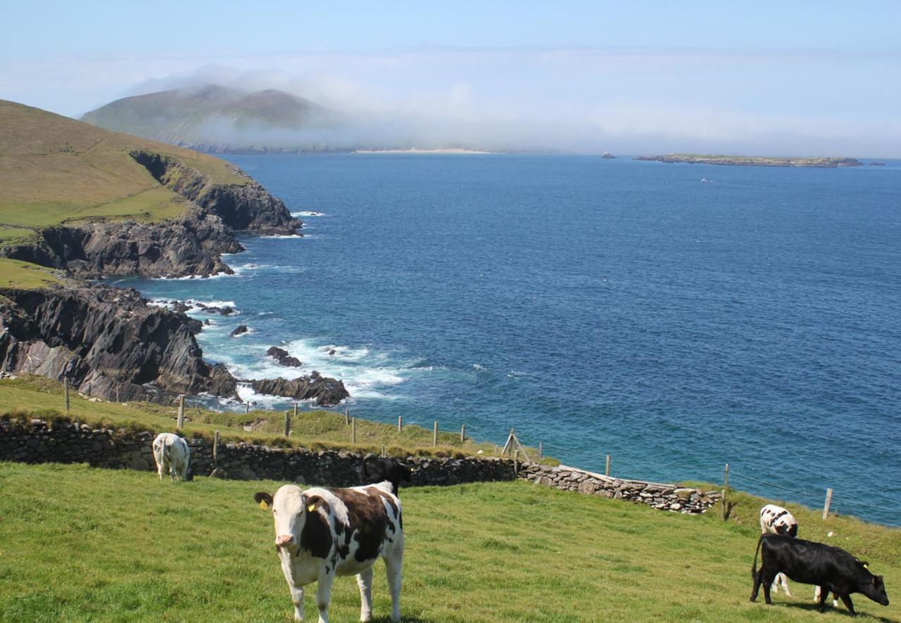 Dingle Harbour Cottages 3 Bed Sleeps 7 By Trident Holiday Homes Esterno foto